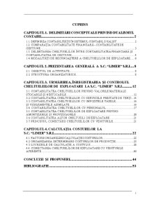 Calculația costurilor la SC Limer SA - Pagina 1
