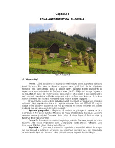Zona agroturistică Bucovina - pensiune agroturistică - Pagina 1