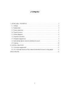 Contractul Individual de Muncă cu Timp Parțial - Pagina 2
