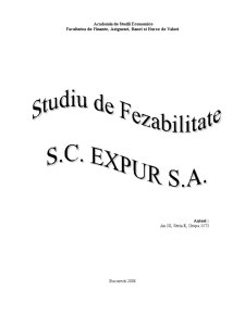 Studiu de Fezabilitate - SC Expur SA - Pagina 1