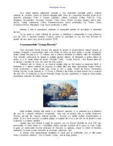 Turismul în municipiul Bacău - Pagina 5