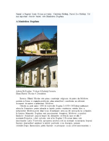 Studiu de evaluare a resurselor turistice locale din municipiul Rădăuți - Pagina 5