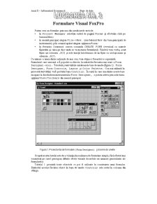 Formulare Visual FoxPro - Pagina 1