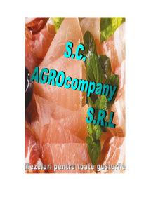 Inginerie economică - SC Agrocompany SRL - Pagina 2