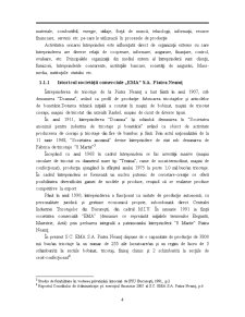 Posibilitati de Automatizare a Calculului si Contabilitatii Salariilor - Ema SA Piatra Neamt - Pagina 4