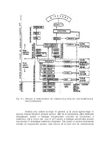 Structura și Funcționalitatea Ecosistemelor - Pagina 3