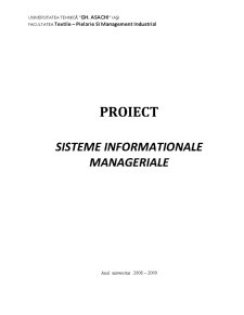 Sisteme informaționale manageriale - Pagina 1