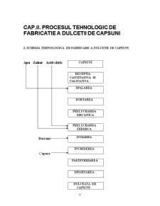Particularități tehnologice de fabricare a produselor negelificate - Pagina 4