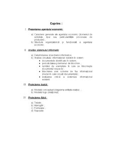 Jurnal pentru cumpărări - Consiliul Local Pleșoi - Pagina 2