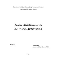 Analiza stării financiare la SC TMK - Artrom SA - Pagina 1