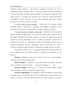 Proiect management - viticultură - Pagina 3