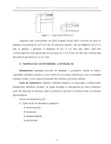 Tehnologii de Inchidere a Buteliilor - Aspecte de Proiectare ale Masinii de Capsulat Butelii din Sticla - Pagina 5