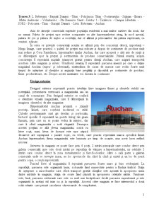 Prezentarea Hypermarketului Auchan - Pagina 3