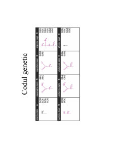 Structura ADN-ului și Codul Genetic - Pagina 10