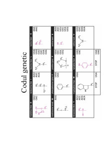 Structura ADN-ului și Codul Genetic - Pagina 11