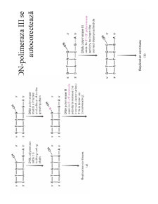 Structura ADN-ului și Codul Genetic - Pagina 15