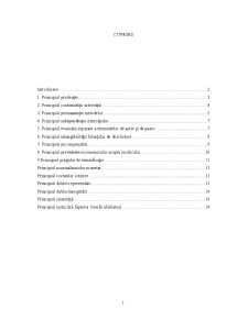 Studiu privind analiza principiilor contabile general acceptate - exemplificări - Pagina 2