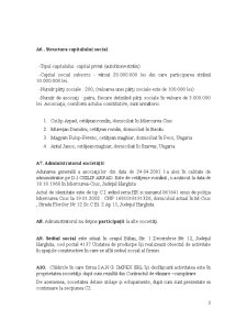 Proiect de practică - SC IANG Impex SRL - Pagina 3