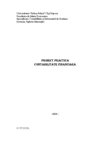 Proiect practică - contabilitate financiară - SC Fitze SRL - Pagina 1