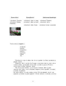 Sisteme horticole - vița de vie - Pagina 4