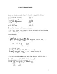 Analiză contabilă - Pagina 1