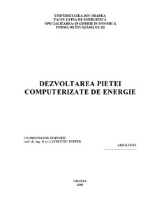Dezvoltarea pieței computerizate de energie - Pagina 1