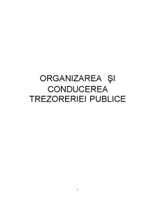 Organizarea și Conducerea Trezoreriei - Pagina 2