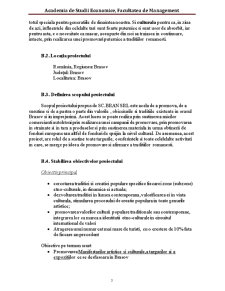 Managementul Proiectelor - SC Bran SRL - Pagina 3