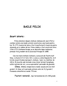 Băile Felix - Pagina 4
