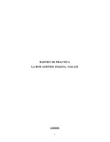 Raport de practică BCR agenția Faleză - Galați - Pagina 1