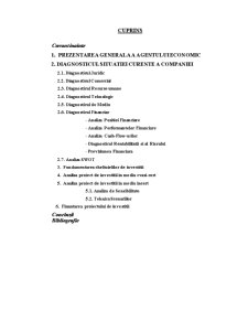 Studiu de Fezabilitate SC Rompetrol Rafinare SA - Pagina 2