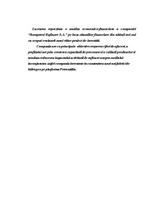 Studiu de Fezabilitate SC Rompetrol Rafinare SA - Pagina 3