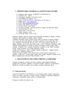 Studiu de Fezabilitate SC Rompetrol Rafinare SA - Pagina 4