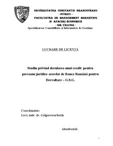 Studiul privind derularea unui credit pentru persoane juridice acordat de Banca Română pentru Dezvoltare GSG - Pagina 1
