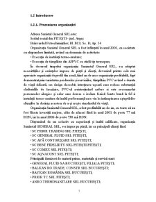 Implementarea Sistemului de Management al Calitatii la SC Saninstal General SRL - Pagina 5