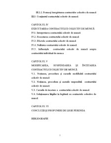Contract Colectiv de Muncă - Pagina 3
