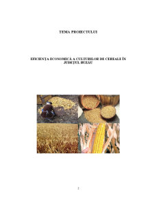 Eficiența Economică a Culturilor de Cereale - Pagina 2