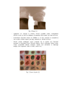 Poluarea atmosferică - Pagina 3