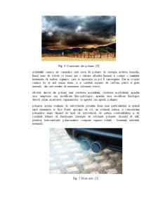 Poluarea atmosferică - Pagina 4