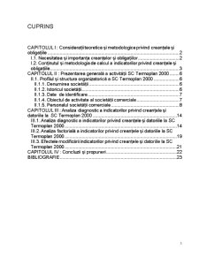 Analiza Diagnostic a Creanțelor și Obligațiilor Firmei SC Termoplan 2000 - Pagina 2