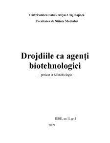 Drojdiile ca Agenți Biotehnologici - Pagina 1