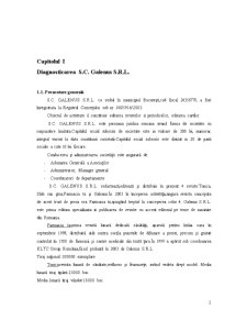 Reproiectarea Subsistemului Organizatoric la SC. Galenus SRL - Pagina 2