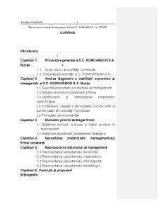 Reproiectarea sistemului de management la SC Romcarbon SA Buzău - Pagina 1
