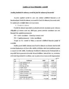 Analiză pe baza bilanțului contabil SC Alibey SRL - Pagina 1