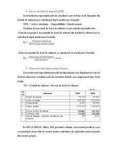 Analiză pe baza bilanțului contabil SC Alibey SRL - Pagina 3
