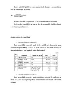 Analiză pe baza bilanțului contabil SC Alibey SRL - Pagina 4