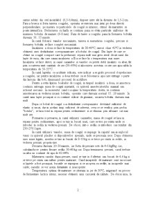 Cașcaval Dobrogea și pastrama de oaie - Pagina 2