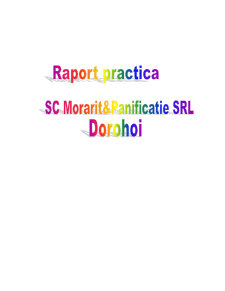 Raport de practică management - SC Morărit și Panificație SRL - Pagina 1