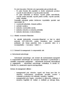 Diagnosticarea viabilității economice și manageriale la SC Policolor SA - Pagina 4
