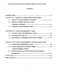 Camerele de Comerț și Industrie la Nivel Național și Internațional în Avangarda Schimburilor Economice Mondiale - Pagina 2